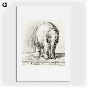 3-7_Jean-Bernard_picture