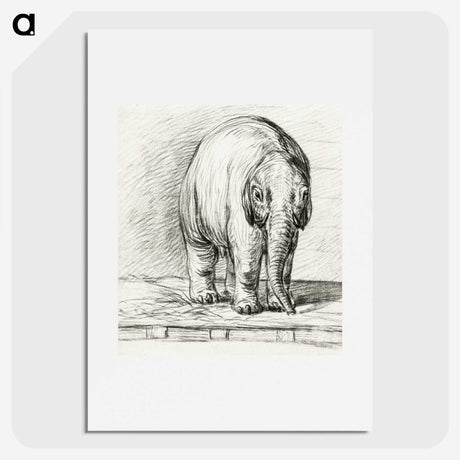 3-7_Jean-Bernard_picture