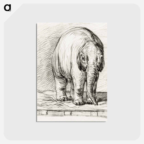 アートポストカード-Standing elephant - ジャン ベルナール Postcard.