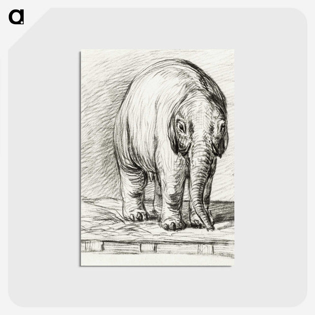 3-7_Jean-Bernard_postcard