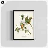 3-7_John-Gould_blk-crop