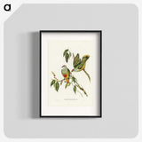 3-7_John-Gould_blk