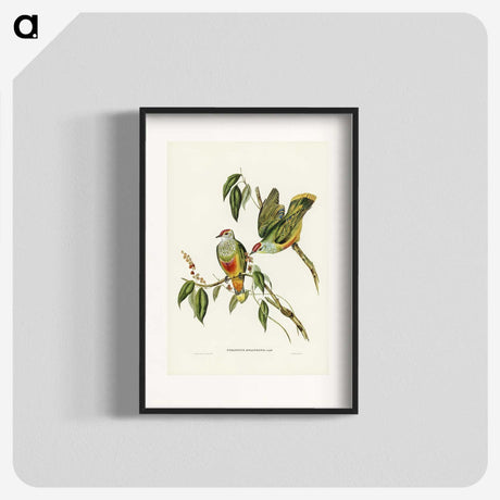 3-7_John-Gould_blk