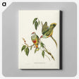3-7_John-Gould_canvas