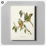 3-7_John-Gould_canvas