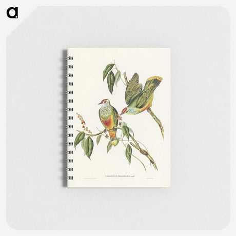3-7_John-Gould_memo