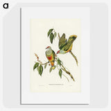 3-7_John-Gould_picture