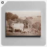 3-7_Leslie-Adkin_canvas