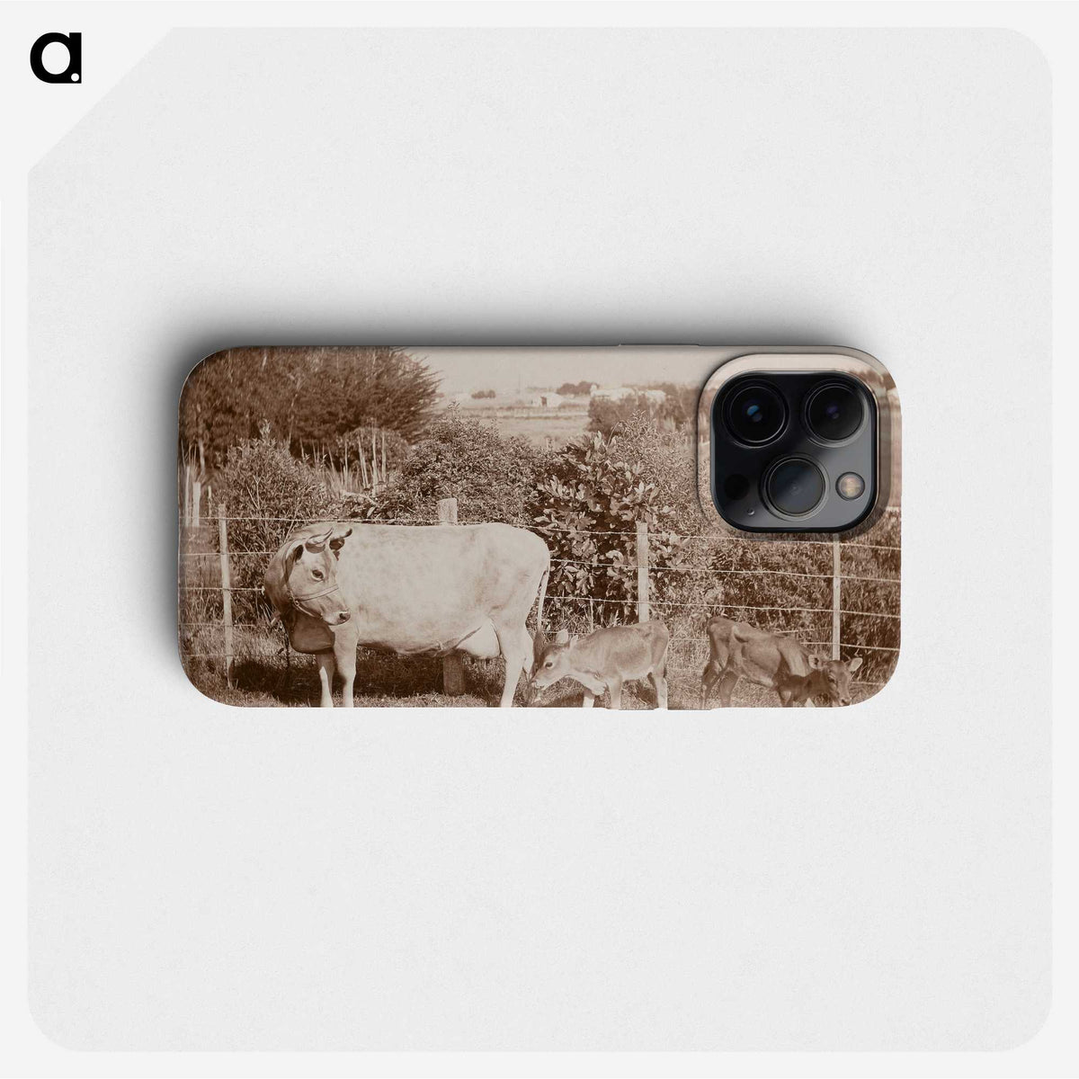 3-7_Leslie-Adkin_phone