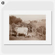 3-7_Leslie-Adkin_picture