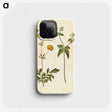 3-7_Maria-Sibylla-Merian_phone