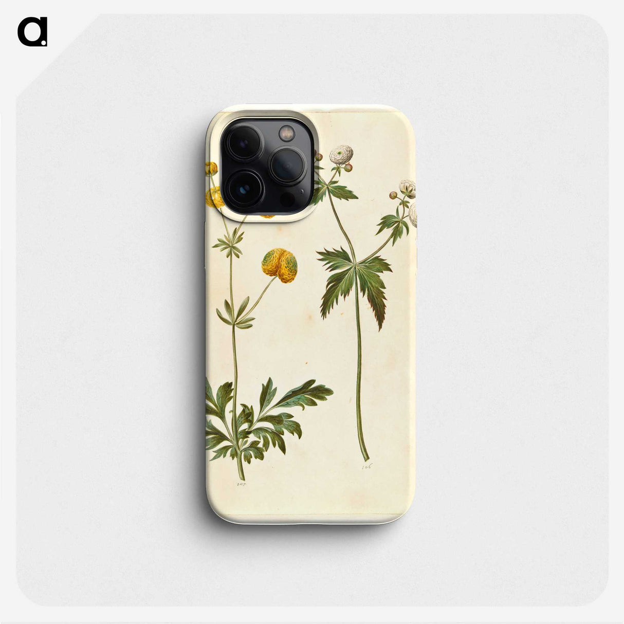 3-7_Maria-Sibylla-Merian_phone