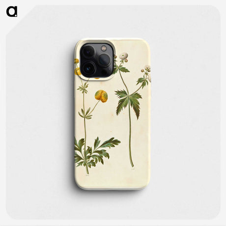 3-7_Maria-Sibylla-Merian_phone