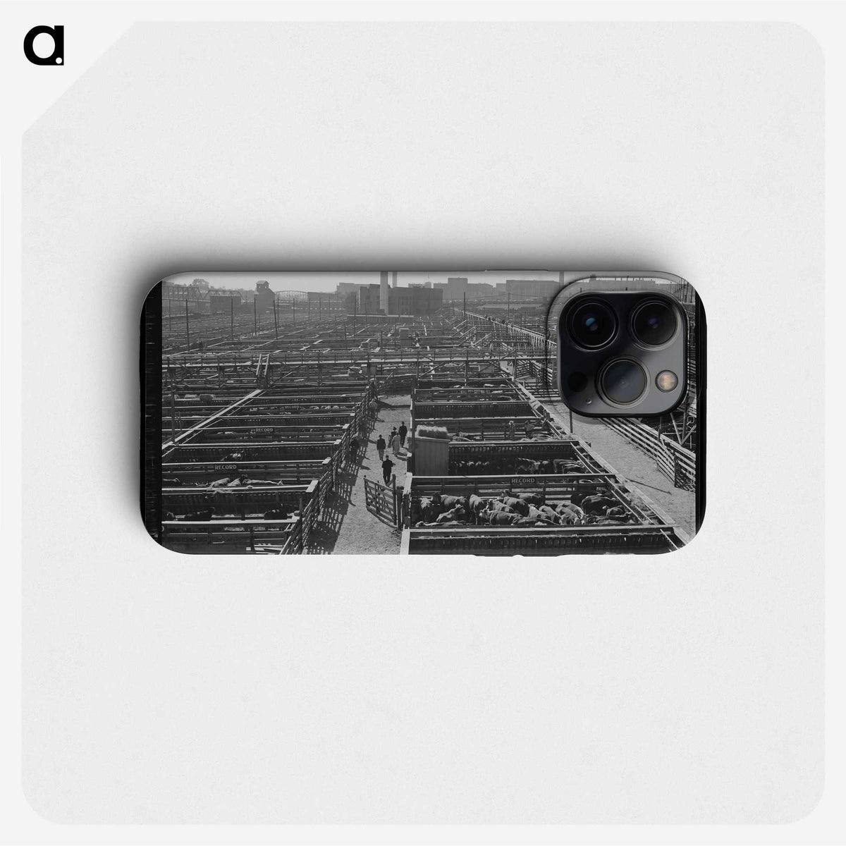 3-7_Marion-Post-Wolcott_phone