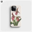 3-7_Mary-Vaux-Walcott_phone