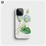 3-7_Pierre-Joseph-Redoute_phone