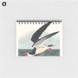 アートメモ帳-Black Skimmer from Birds of America
 - アメリカの鳥たち Memo.
