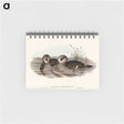 アートメモ帳-Membranaceous Duck
 - オーストラリアの鳥 Memo.