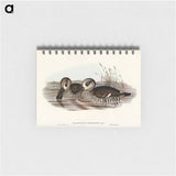 アートメモ帳-Membranaceous Duck
 - オーストラリアの鳥 Memo.