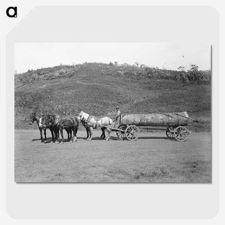 3-7_The-Burton-Brothers_picture-crop