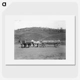 3-7_The-Burton-Brothers_picture