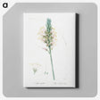 3-7_The-Lilies_canvas