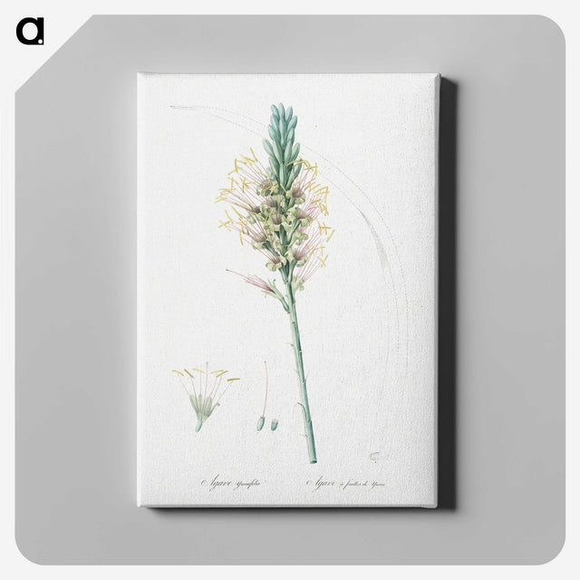 3-7_The-Lilies_canvas