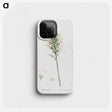 3-7_The-Lilies_phone
