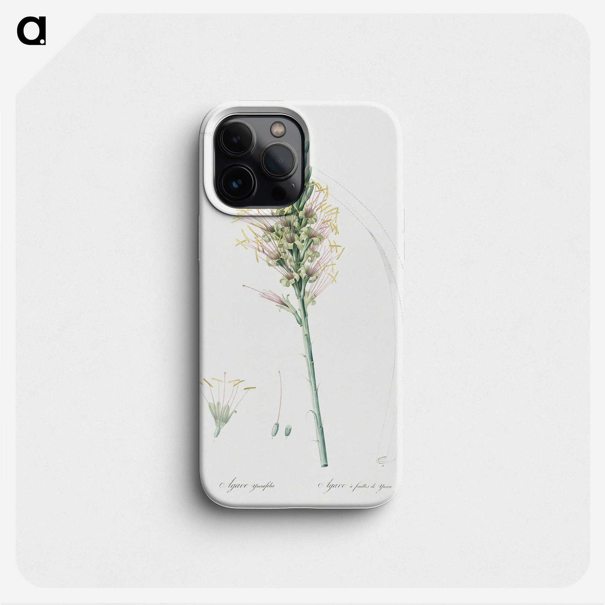 3-7_The-Lilies_phone