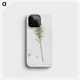 3-7_The-Lilies_phone