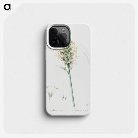 3-7_The-Lilies_phone