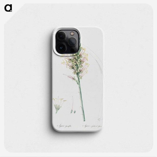 3-7_The-Lilies_phone
