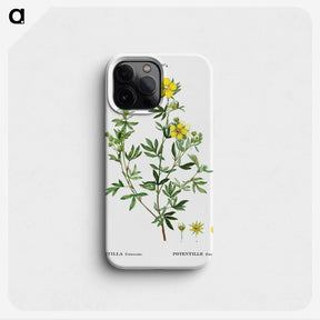 3-7_Treatise-on-Trees-and-Shrubs_phone