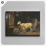 3-7_Yale-University-Art-Gallery_canvas