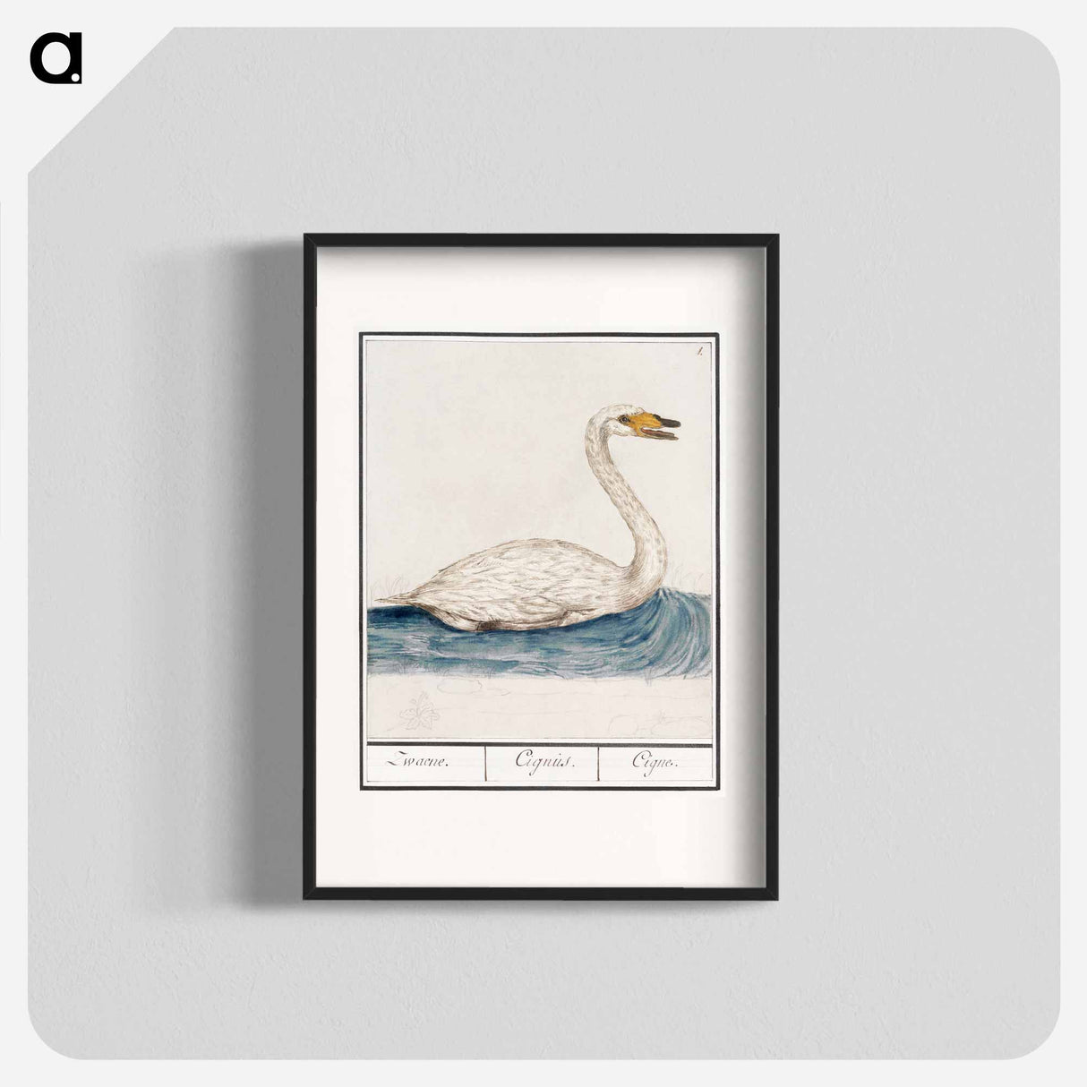 The Wild Swan - アンセルムス ボエティウス デ ブート Poster.