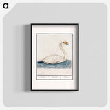 The Wild Swan - アンセルムス ボエティウス デ ブート Poster.