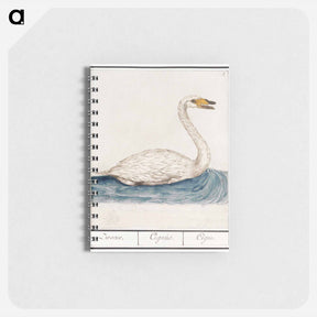 アートメモ帳-The Wild Swan - アンセルムス ボエティウス デ ブート Memo.