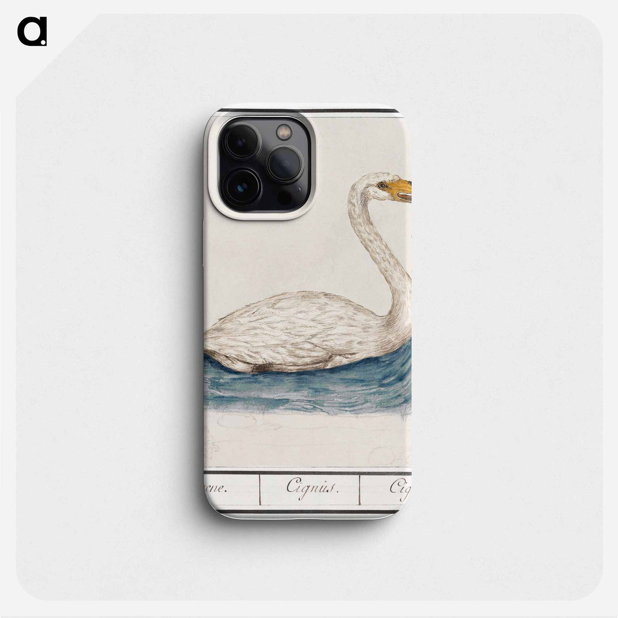 The Wild Swan - アンセルムス ボエティウス デ ブート Phone Case.
