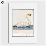 The Wild Swan - アンセルムス ボエティウス デ ブート Poster.