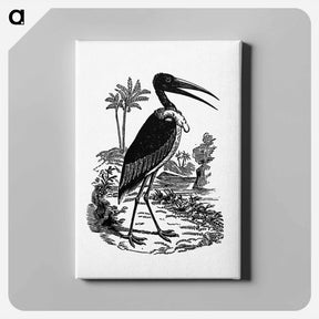 アートパネル-Greater Adjutant
 - 大英図書館 Canvas.