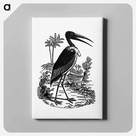 アートパネル-Greater Adjutant
 - 大英図書館 Canvas.