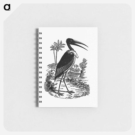 アートメモ帳-Greater Adjutant
 - 大英図書館 Memo.