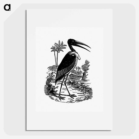 アートポスター-Greater Adjutant
 - 大英図書館 Poster.