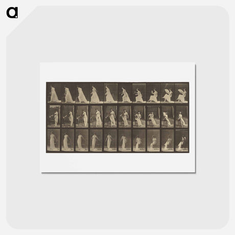 アートポストカード-Animal Locomotion
 - エドワード マイブリッジ Postcard.