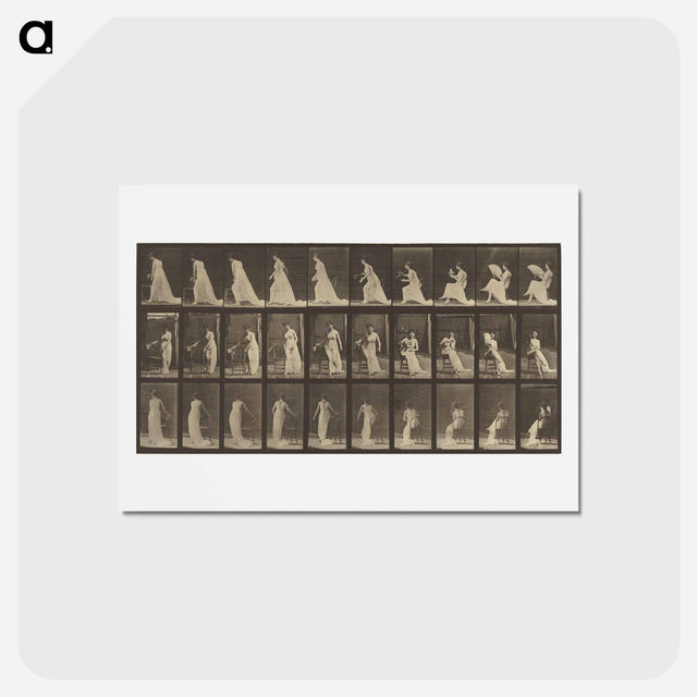 アートポストカード-Animal Locomotion
 - エドワード マイブリッジ Postcard.