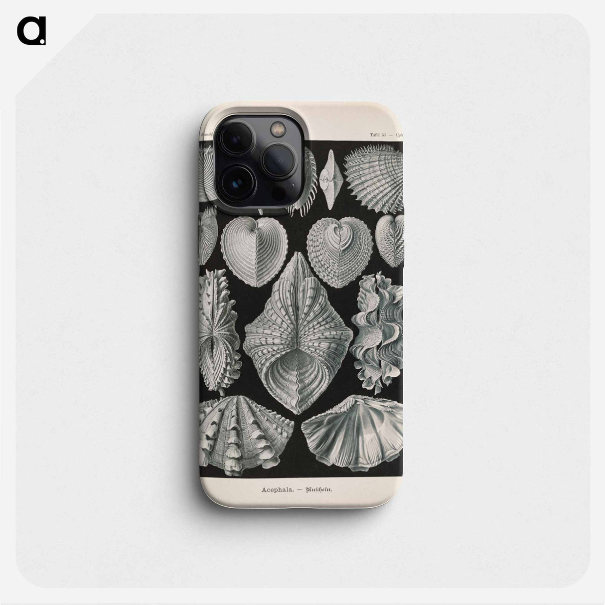 Marine life illustration - エルンスト ヘッケル Phone Case.