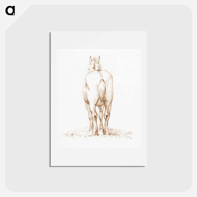 アートポストカード-Standing horse - ジャン ベルナール Postcard.