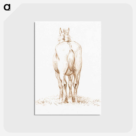 アートポストカード-Standing horse - ジャン ベルナール Postcard.