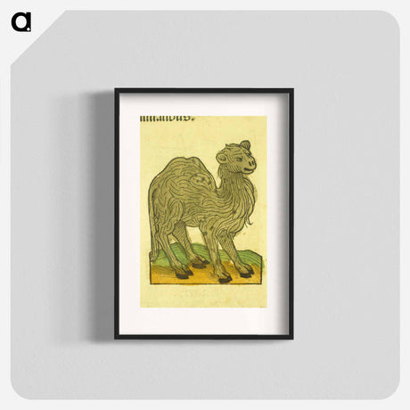アートポスター-Animal Woodcut
 - 国立医学図書館 Poster.