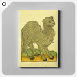アートパネル-Animal Woodcut
 - 国立医学図書館 Canvas.